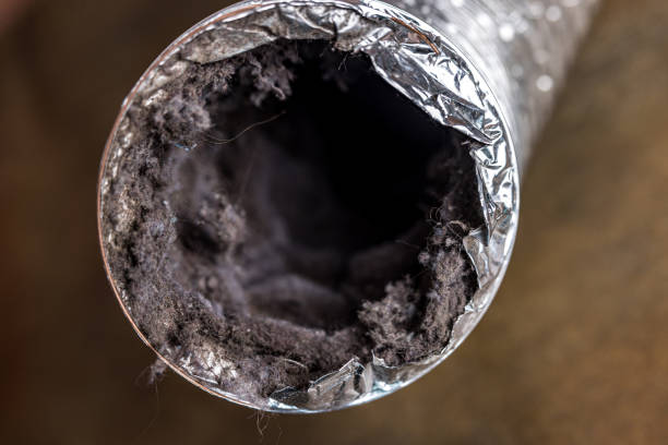 Best Air Vent Cleaning Services  in Medina, WA